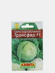 Капуста белокочанная Трансфер F1 (семена)
