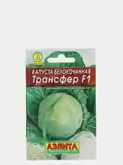 Капуста белокочанная Трансфер F1 (семена)