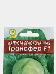 Капуста белокочанная Трансфер F1 (семена)