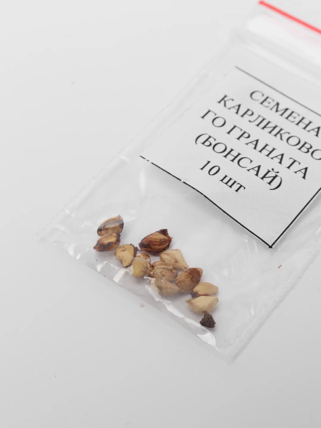 Семена карликового граната, бонсай, 10 штук