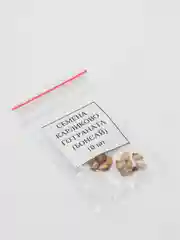 Семена карликового граната, бонсай, 10 штук
