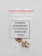 Семена карликового граната, бонсай, 10 штук