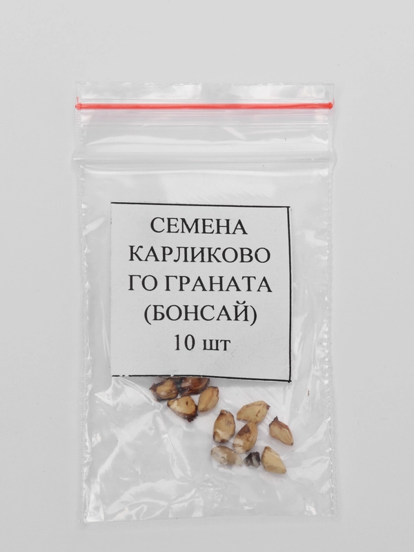 Семена карликового граната, бонсай, 10 штук