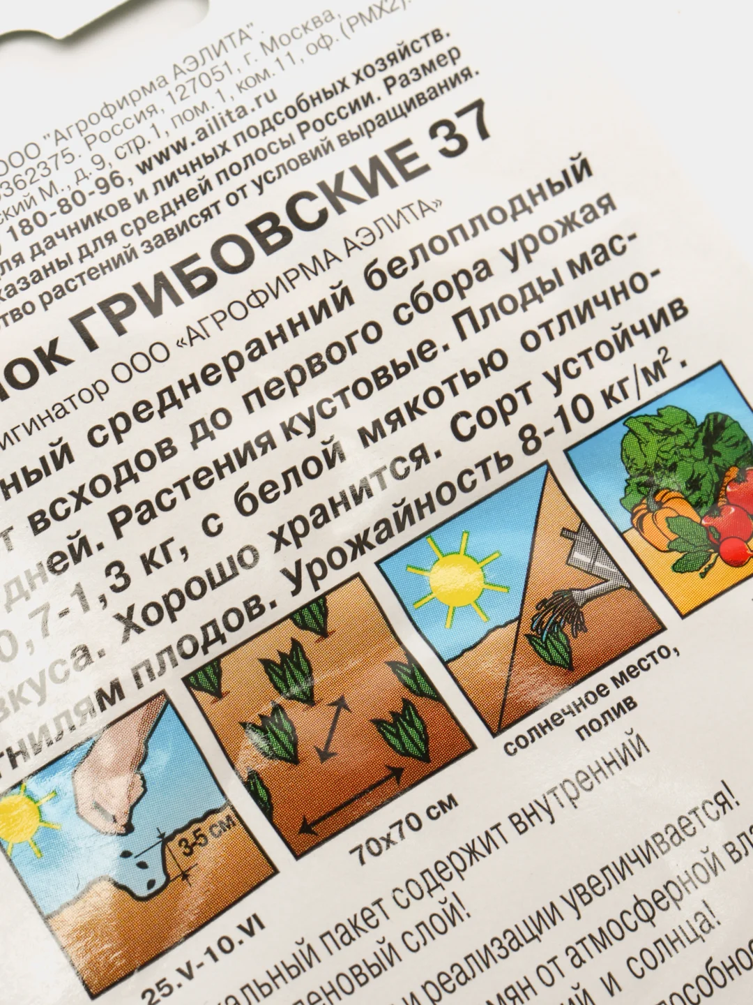 Кабачок Грибовские, семена