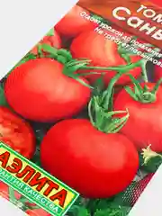 Томат "Санька"