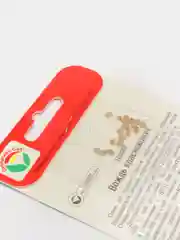 Семена Томат "Вождь краснокожих"