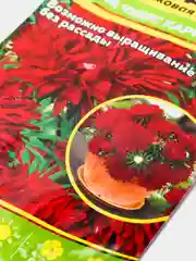 Астра карликовая "Тысяча чудес карминная", семена, цветы