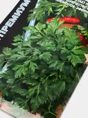 Петрушка Быстроотрастающая листовая (семена)