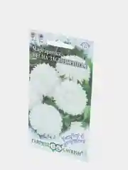 Семена цветы "Маргаритка Весна заснеженная"