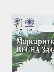 Семена цветы "Маргаритка Весна заснеженная"