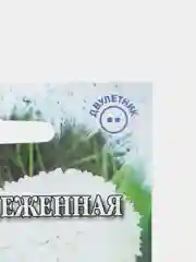 Семена цветы "Маргаритка Весна заснеженная"