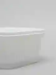 Белый контейнер пластиковый с крышкой