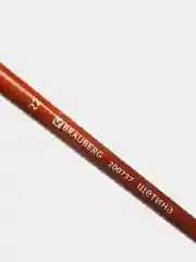 Кисть художественная профессиональная BRAUBERG ART "CLASSIC", щетина, овальная, № 22, длинная ручка, 200737