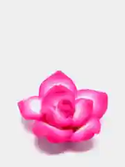 Коралловый кабошон цветы
