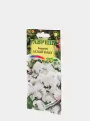 Агератум Белый букет (семена)