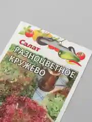 Салат Разноцветное кружево, семена