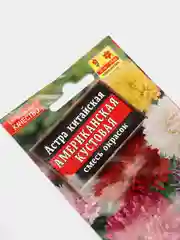 Астра Американская кустовая (семена,цветы)
