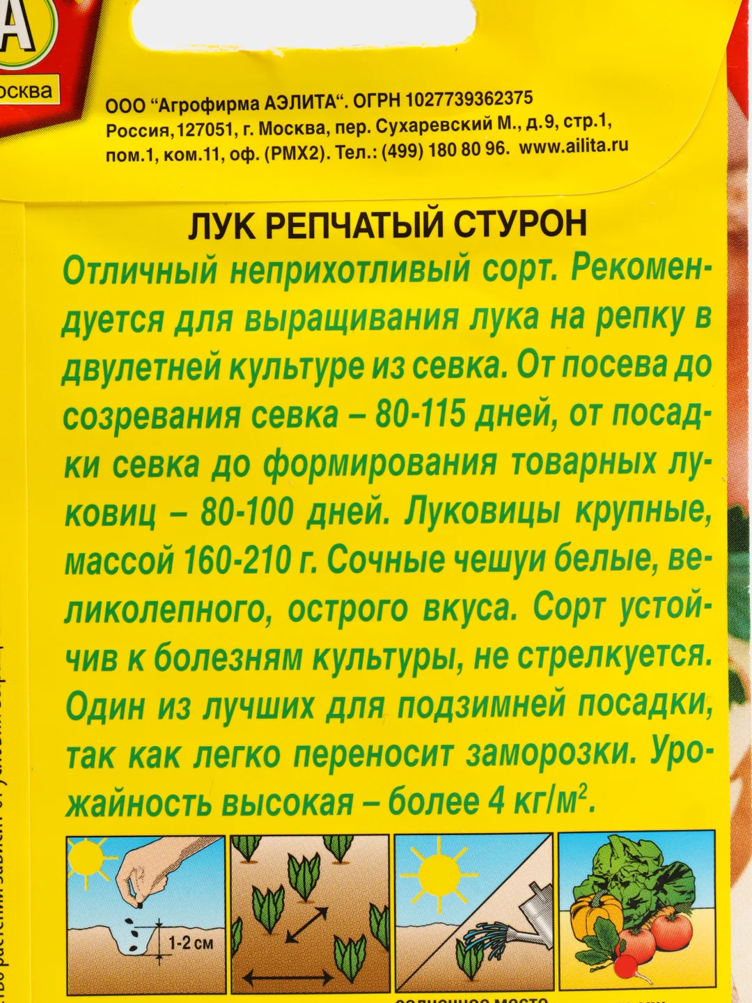 Лук репчатый "Стурон", семена