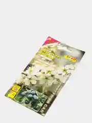 Терн "Бабушкино варенье", семена