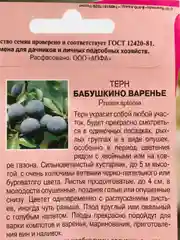 Терн "Бабушкино варенье", семена