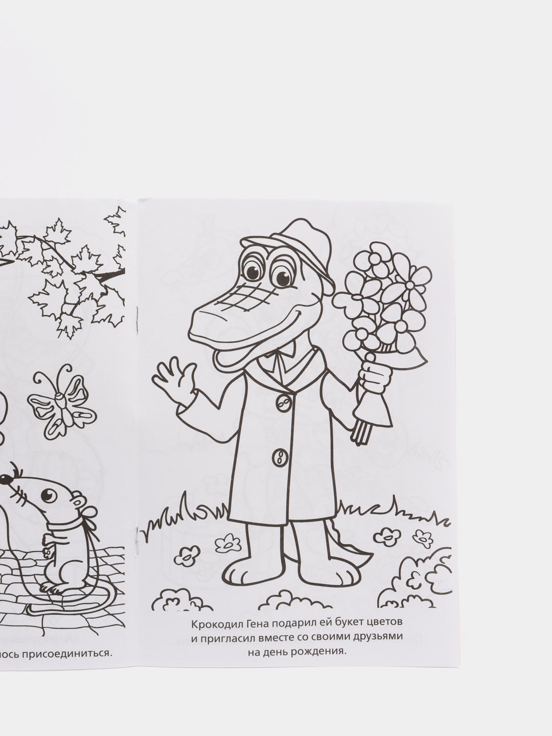Раскраски из мультфильмов про Чебурашку, крокодила Гену и Шапокляк скачать