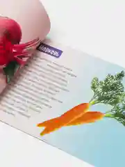 Коричневый обучающие книги "Овощи, Цветы, Природные явления, Деревья, Ягоды, Фрукты"