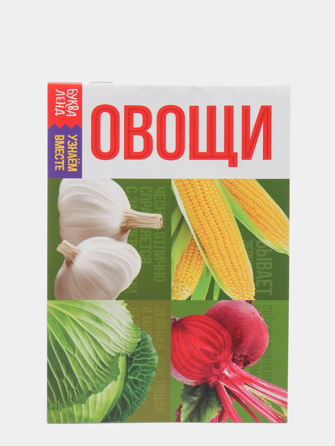 Коричневый обучающие книги "Овощи, Цветы, Природные явления, Деревья, Ягоды, Фрукты"