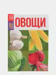 Коричневый обучающие книги "Овощи, Цветы, Природные явления, Деревья, Ягоды, Фрукты"