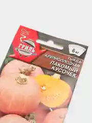 Семена Тыква "Лакомый кусочек", урожайная, 2 г