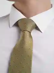 Оливковый галстук