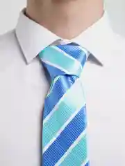 Ледяной галстук