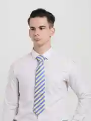 Золотой галстук