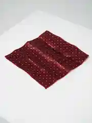 Алый галстук мужской, карманный платок