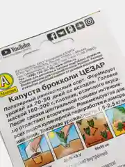 Капуста Цезар (семена)