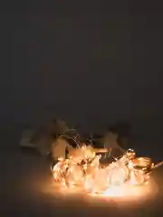 Желтый гирлянда штора-занавес с пультом, 3 х 2м, 3 х 3м от USB300 LED регулировка яркости 8 режимов