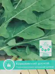 Семена Индау (Руккола) "Корсика"