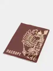 Обложка для паспорта "Герб России", коричневый