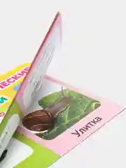 Книга "Логопедические картинки. Звуки Л, звук Р, звук С, звук Ж-Ш", 24 страницы