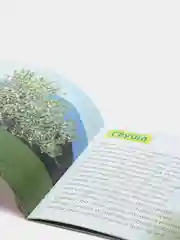 Серый обучающие книги "Овощи, Цветы, Природные явления, Деревья, Ягоды, Фрукты"