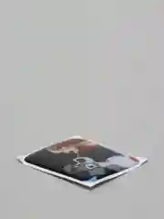 Лимонный 3d cтикеры наклейки на телефон