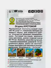 Семена Огурец  Кустовой  набор 1, 3, 5 уп
