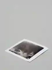Салатовый 3d наклейки стикеры на телефон