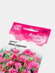 Семена цветы "Кларкия наша радость"