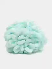 Мятный пряжа Alize Puffy петельки