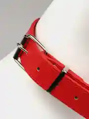 Зеленый ошейник бандана для собак и кошек