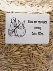 Корм для грызунов и птиц "Овёс", 500 г