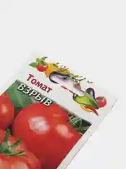 Томат "Взрыв", семена