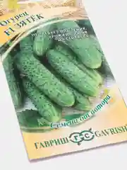 Семена Огурец F1 "Зятёк"
