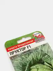 Семена "Капуста Пруктор"