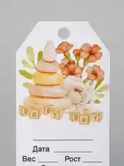 Бирка на выписку мальчику